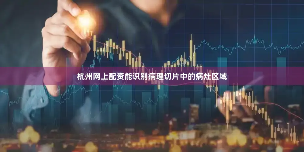 杭州网上配资能识别病理切片中的病灶区域