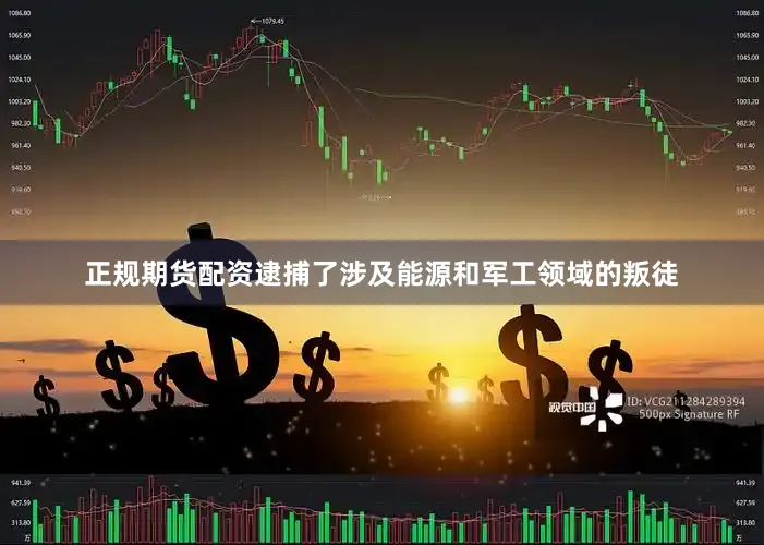 正规期货配资逮捕了涉及能源和军工领域的叛徒