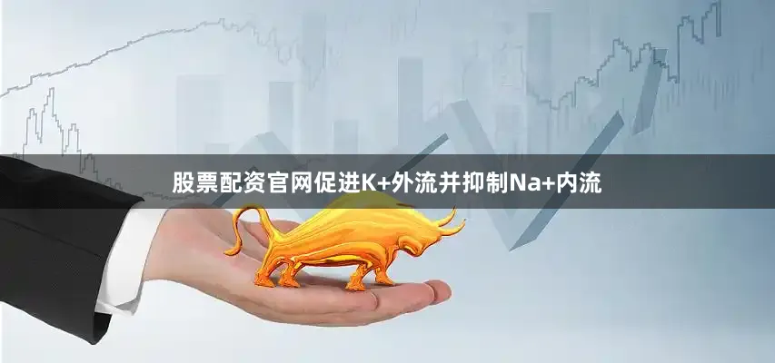 股票配资官网促进K+外流并抑制Na+内流