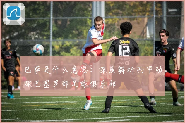 巴萨是什么意思？深度解析西甲劲旅巴塞罗那足球俱乐部